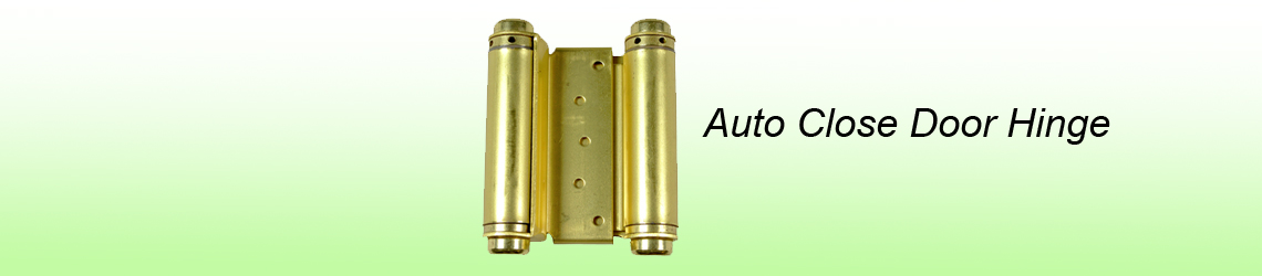 Auto close door hinge