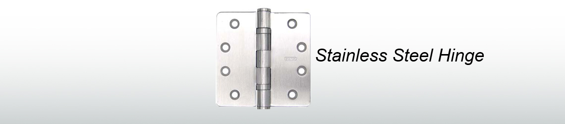 Stainless steel door hinge